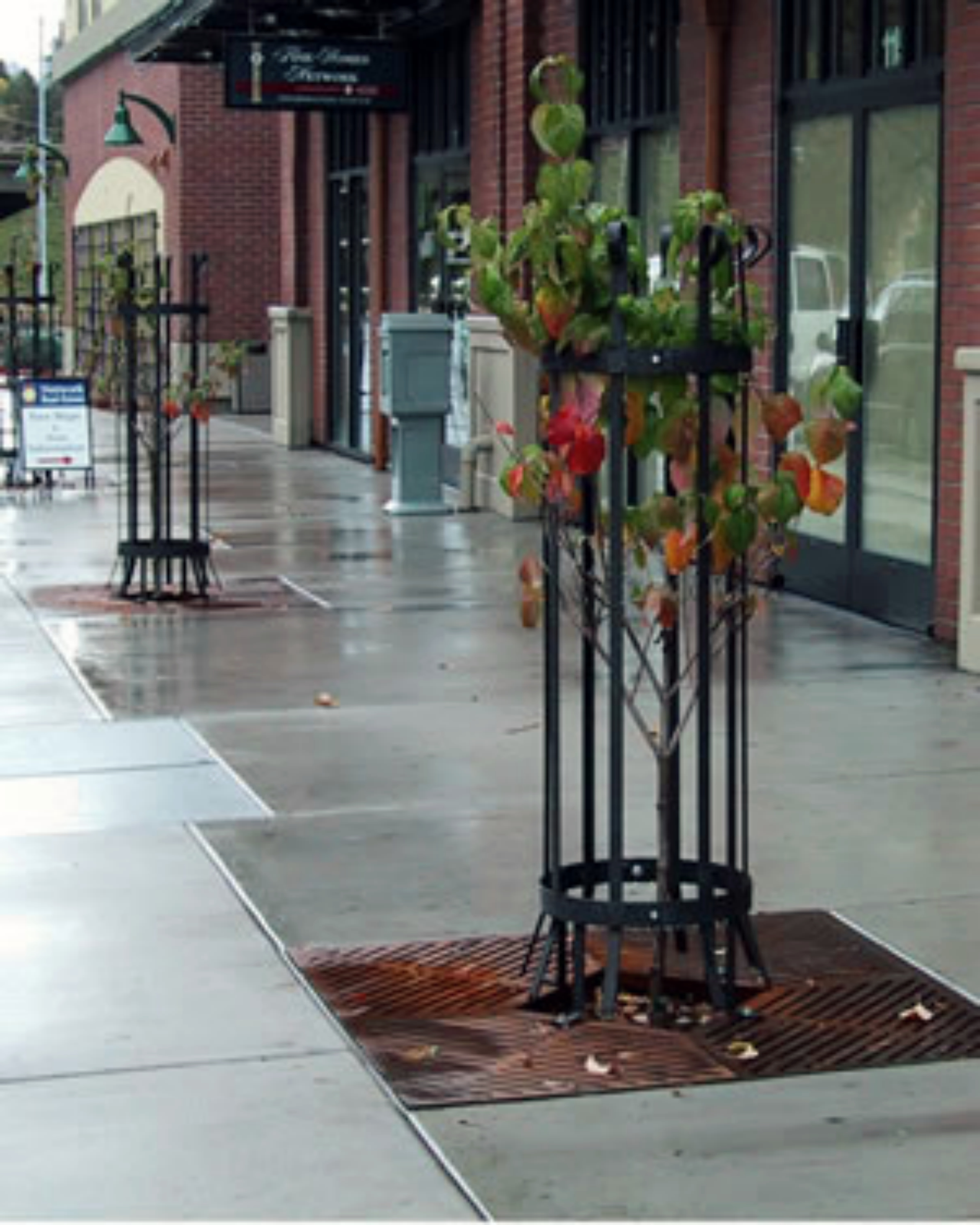 Protectores de árboles con fines decorativos en centro comercial.